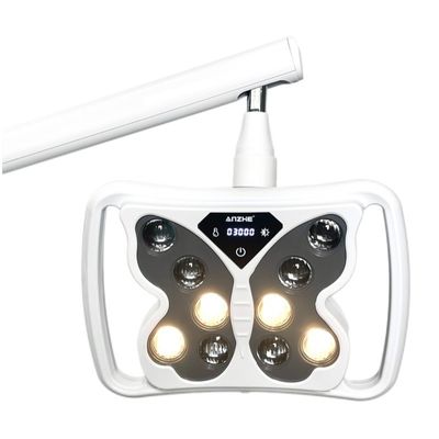 तितली के आकार का दांतों को सफेद करने वाला लैंप ब्यूटी सैलून डेंटल क्लिनिक उपयोग 3 मॉडल डेंटल व्हाइटनिंग टीथ मशीन