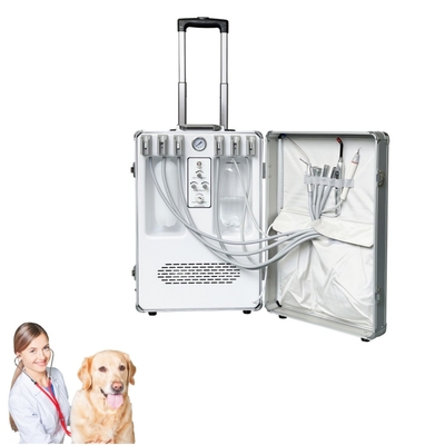 हाथ से पकड़े जाने वाले पशु चिकित्सक दंत चिकित्सा उपकरण पालतू जानवर दांतों का उपचार सूटकेस पशु दांतों की देखभाल पशु चिकित्सा मोबाइल दंत चिकित्सा इकाई