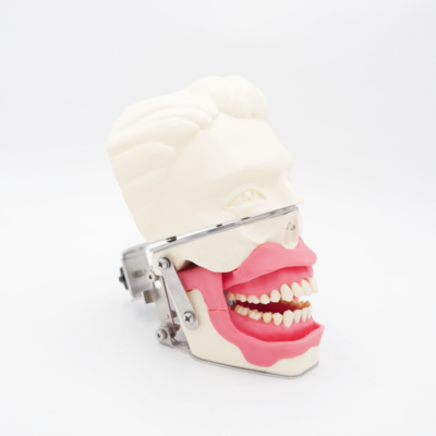 मौखिक एनेस्थीसिया प्रशिक्षण मॉडल यथार्थवादी मसूड़े जबड़े सिमुलेशन इंजेक्शन अभ्यास दंत चालन एनेस्थीसिया मॉडल