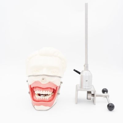 दंत एनेस्थेसिया निकासी मॉडल दंत चिकित्सा विद्यालय एनेस्थेसिया इंजेक्शन प्रशिक्षण मॉडल मौखिक एनेस्थेसिया सिम्युलेटर प्रणाली