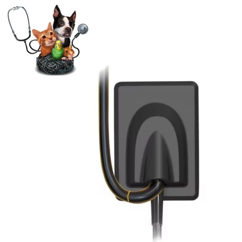 पशु चिकित्सा दंत चिकित्सा उपकरण डिजिटल एक्स-रे इमेजिंग सिस्टम पालतू दांत एक्स-रे सेंसर आरवीजी