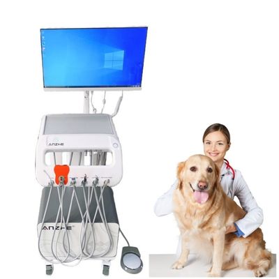 अच्छा दाम Custom Portable Veterinary Instrument Unique Design Mobile Dental Trolley with Oral Camera ऑनलाइन