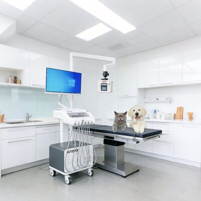 अच्छा दाम क्लिनिक और आउटरीच उपयोग के लिए अंतर्निहित एक्स-रे और पीसी मोबाइल डेंटल कार्ट के साथ पोर्टेबल डेंटल थेरेपी यूनिट एयर कंप्रेसर सक्शन सिस्टम डेंटल डिलीवरी यूनिट के साथ ऑनलाइन