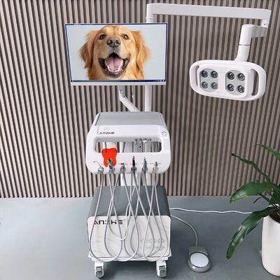Portable Veterinary Dental Unit with LED Lamp and Air Compressor Mobile Pet Dental Treatment Cart 550W Dental Therapy Machine for Animal Clinic