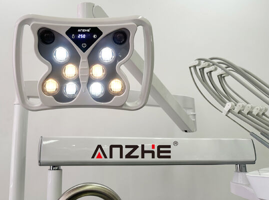 304 स्टेनलेस स्टील में साइलेंट 32L एयर कंप्रेसर और 5-होल्डर इंस्ट्रूमेंट सूट के साथ पेशेवर पशु चिकित्सा दंत चिकित्सा उपचार इकाई