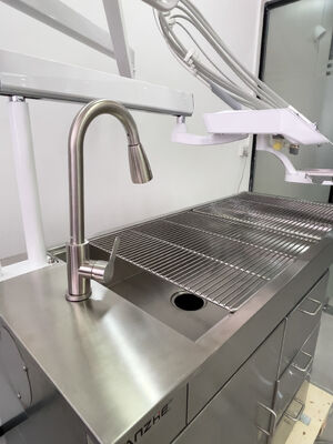 Veterinary Dental Treatment Unit with LED Whitening Butterfly Lamp 32L Oil Free Air Compressor Stainless Steel Veterinary Dental Workstation