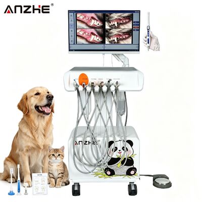 Portable All in One Veterinary Dental Workstation with HD Oral Camera Silent 38dB Oil free Compressor and Integrated Suction System for Pet Hospital and Animal Clinic